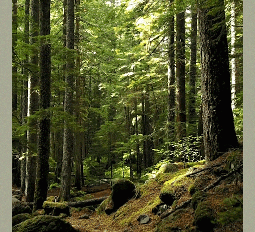 상품의 상세 설명 이미지