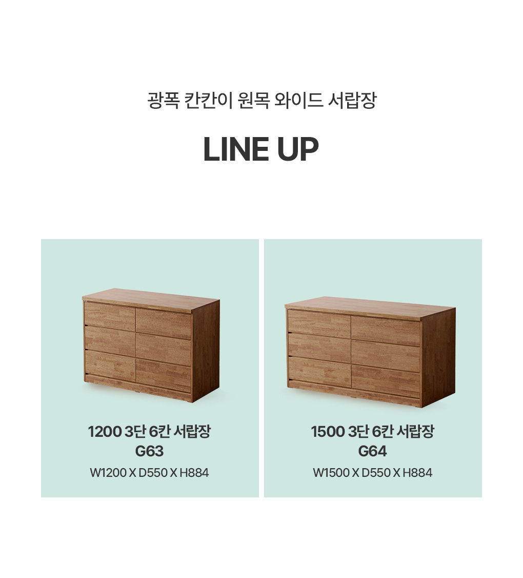 라인업